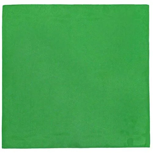 Платок WHY NOT BRAND, 53х53 см, зеленый