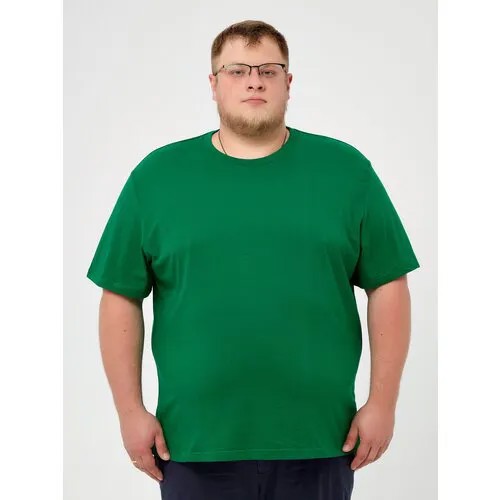 Футболка StarkCotton, размер 4XL, светло-зеленый