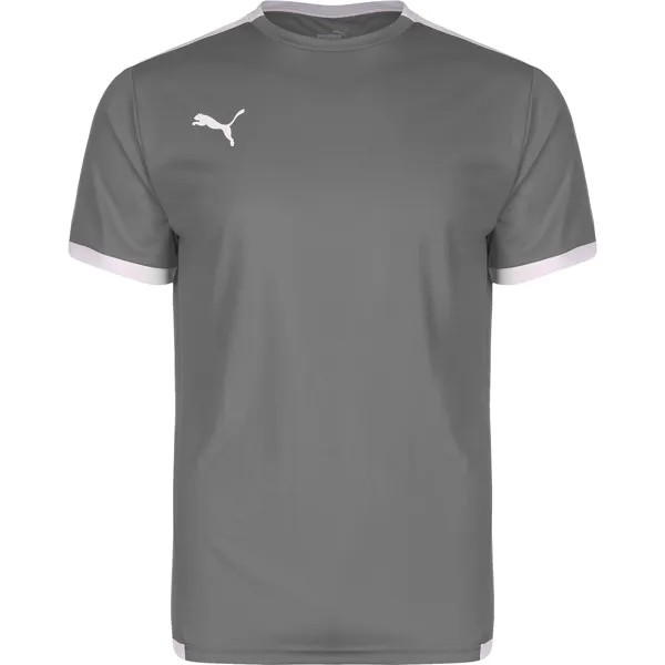 Рубашка Puma Fußballtrikot TeamLIGA, цвет grau/weiß