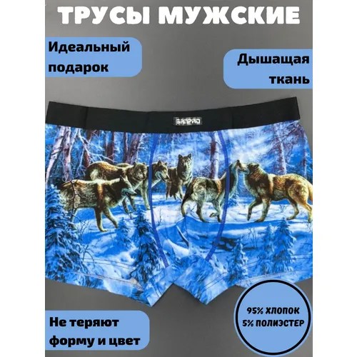 Трусы боксеры Shumiloff, средняя посадка, размер 44-46, синий