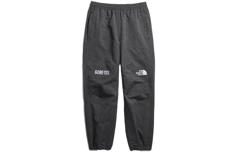 THE NORTH FACE Мужские повседневные брюки, цвет Black