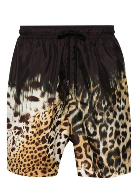 Плавки-шорты с принтом Tiger Tooth Roberto Cavalli, черный