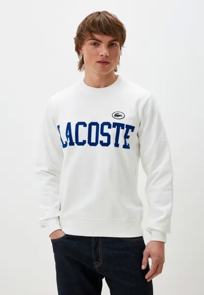 Свитшот Lacoste