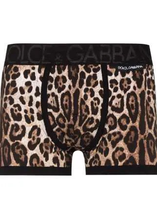 Dolce & Gabbana боксеры с леопардовым принтом