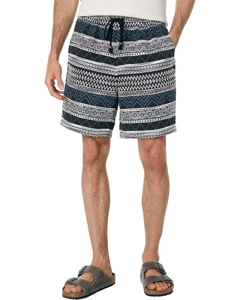 Шорты Joe's Jeans Dock Shorts, цвет Blanket Stripe