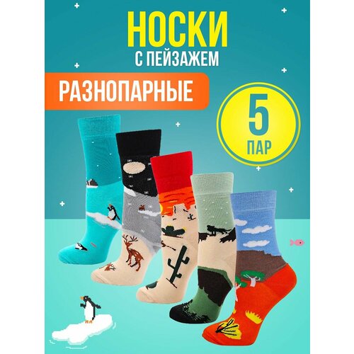 Носки Big Bang Socks, 5 пар, размер 35-39, зеленый, оранжевый, бежевый