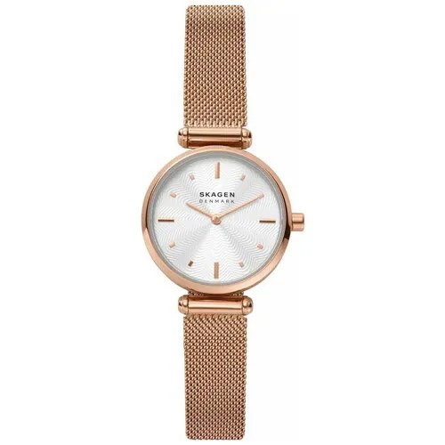 Наручные часы SKAGEN SKW2955