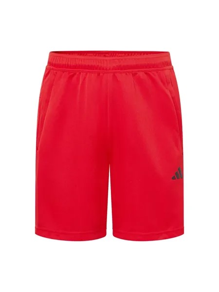 Обычные тренировочные брюки ADIDAS PERFORMANCE Train Essentials All Set, красный