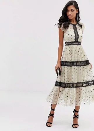 Кремовое сетчатое платье миди в горошек с кружевными вставками Lace & Beads-Мульти