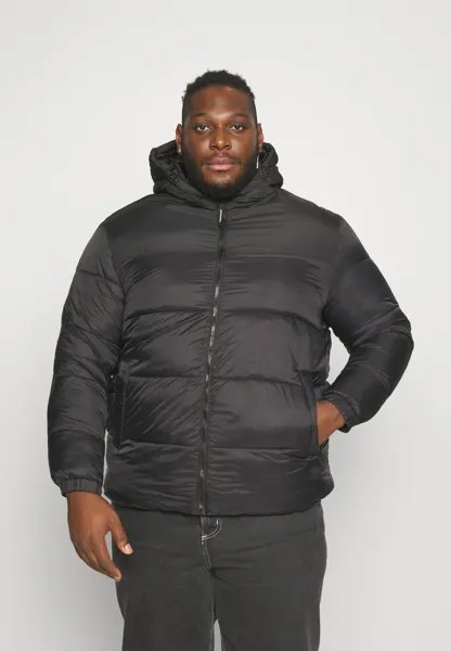 Зимняя куртка Jack & Jones JJETOBY PUFFER HOOD, черный