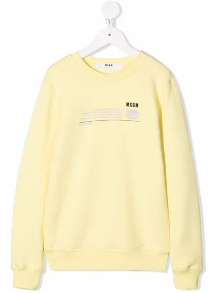 MSGM Kids толстовка из органического хлопка с графичным принтом