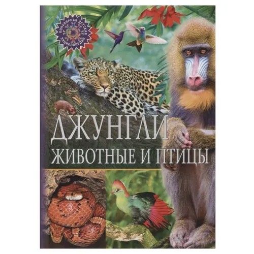 Феданова Ю., Скиба Т. 