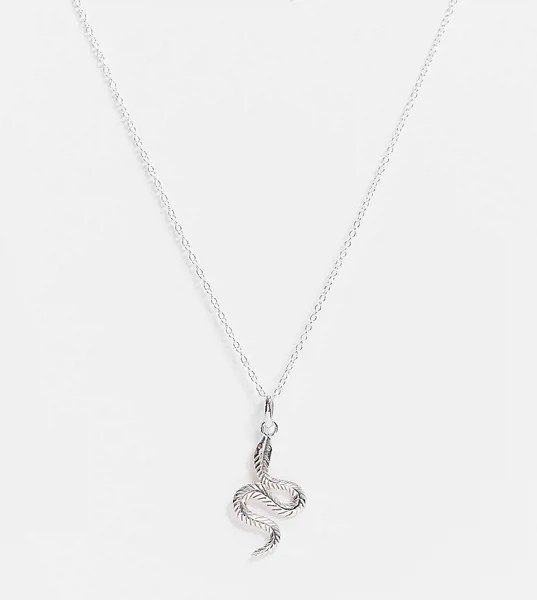Серебряное ожерелье со змеей Kingsley Ryan-Серебряный