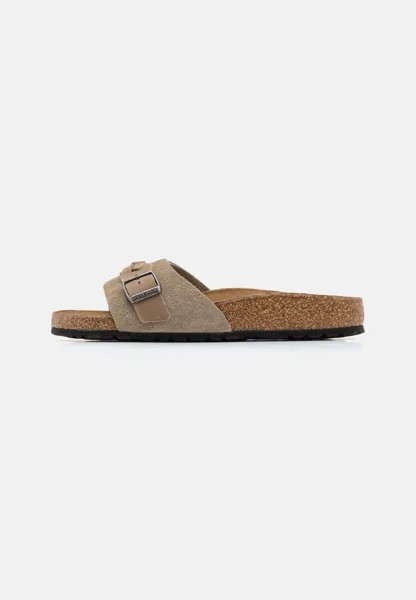 Тапочки Pula Narrow Birkenstock, цвет taupe