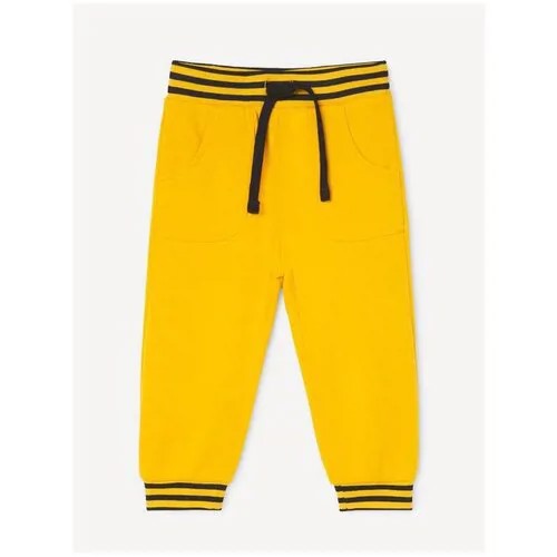 Жёлтые спортивные брюки Jogger для мальчика Gloria Jeans, размер 3-4г/104