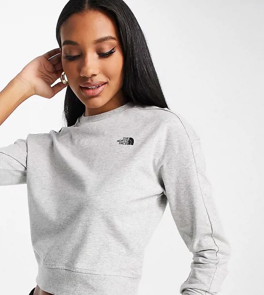 Серый лонгслив The North Face Ensei