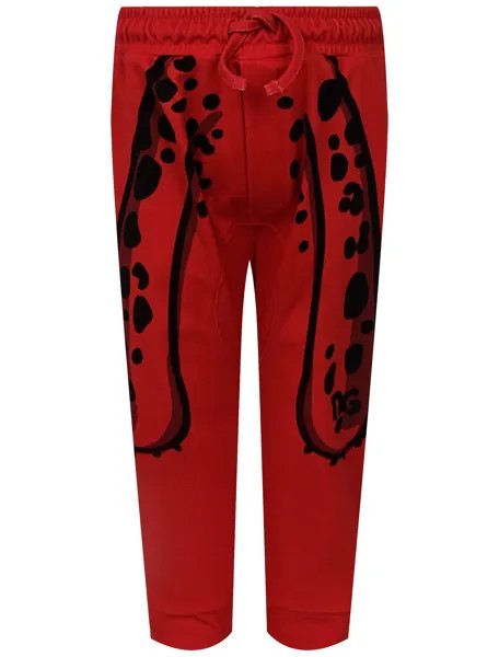 Брюки спортивные Dolce & Gabbana
