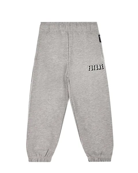Серые спортивные брюки из хлопка Molo детские