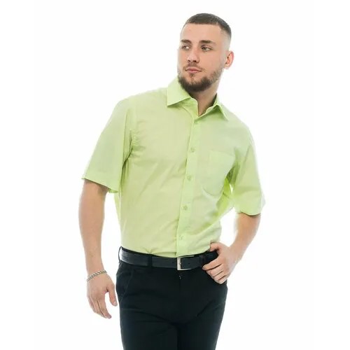 Рубашка Maestro, размер 50RU/L/170-178/41 ворот, зеленый
