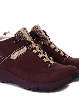 Ботинки женские Clarks Tri Fern GTX 26138102 фиолетовые 37 EU