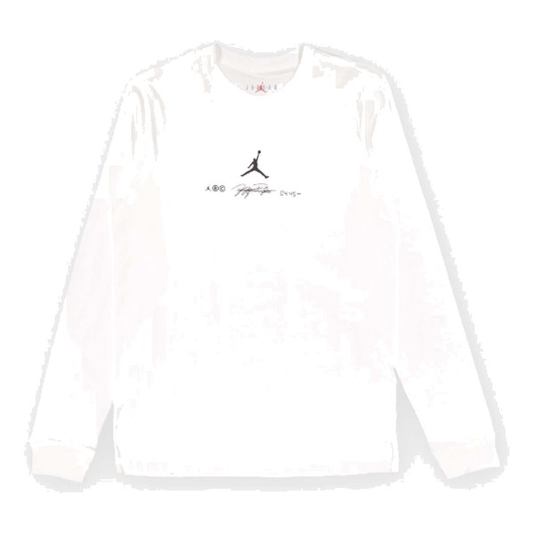 Рубашка Air Jordan Long Sleeve Sport Graphic T-Shirt 'White Black', белый
