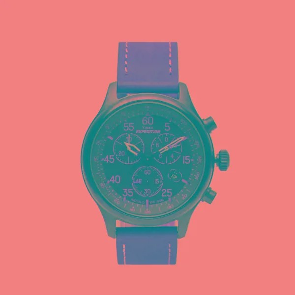 Наручные часы Timex