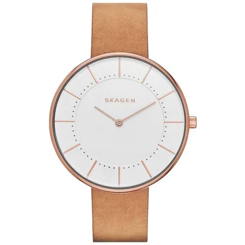 Наручные часы Skagen SKW2558