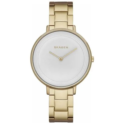 Наручные часы SKAGEN SKW2330