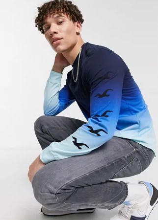 Темно-синий лонгслив с эффектом омбре с логотипом спереди и на рукаве Hollister