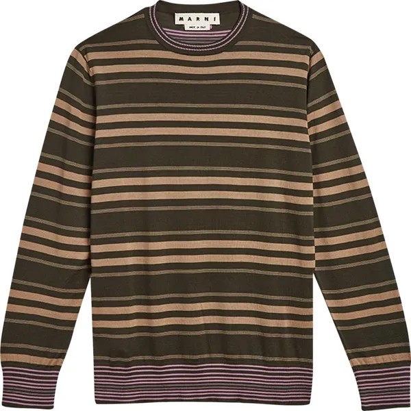 Свитер Marni Stripe Roundneck Sweater 'Green / Beige / Pink', зеленый