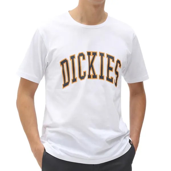 Футболка Dickies Aitkin T-shirt, белый