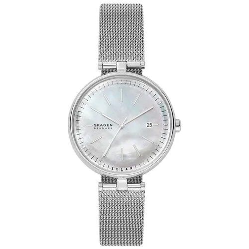 Наручные часы Skagen SKW2979