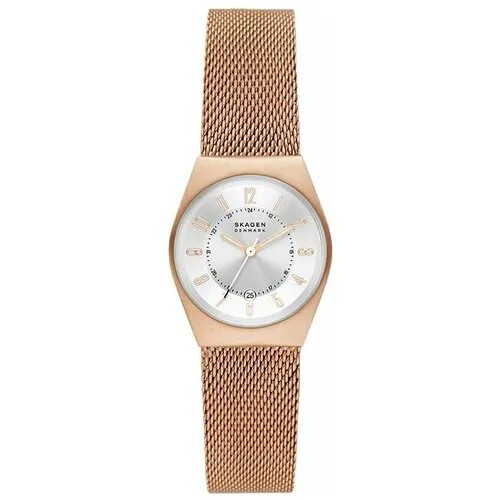 Наручные часы SKAGEN SKW3035