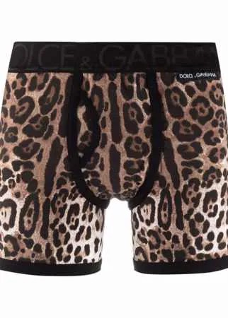 Dolce & Gabbana трусы-брифы с леопардовым принтом