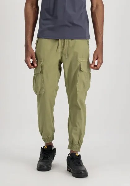 Спортивные брюки Alpha Industries 