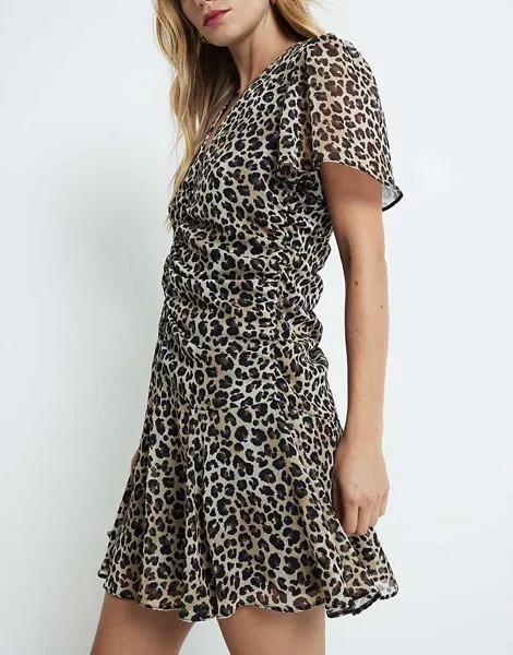 Коричневое шифоновое платье мини с леопардовым принтом River Island