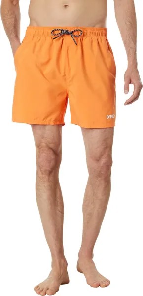 Пляжные шорты Oakley Beach Volley 16