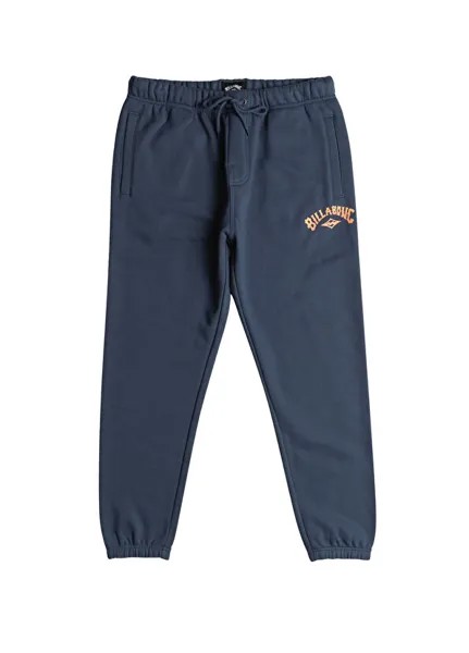 Мужские спортивные штаны core arch Billabong