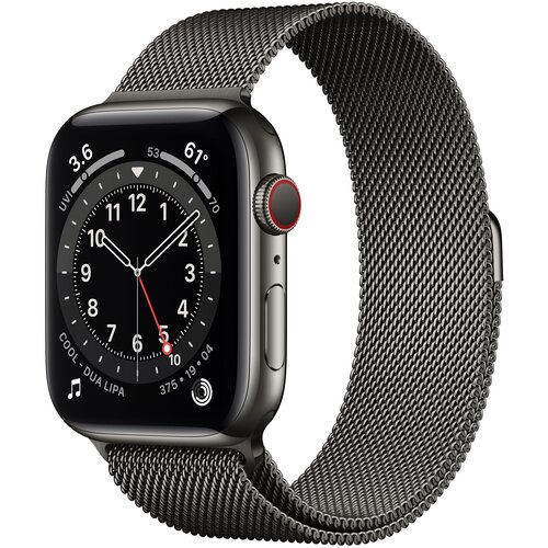 Часы Apple Watch Series 6 GPS + Cellular 40mm (MG2U3) (Graphite Stainless Steel Case with Graphite Milanese Loop)