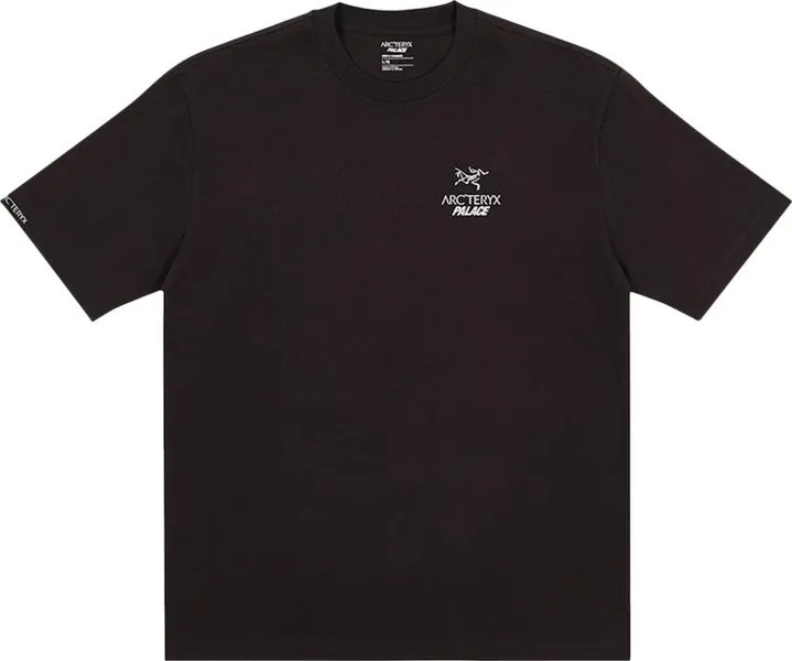 Футболка Palace x Arc'teryx T-Shirt 'Black', черный