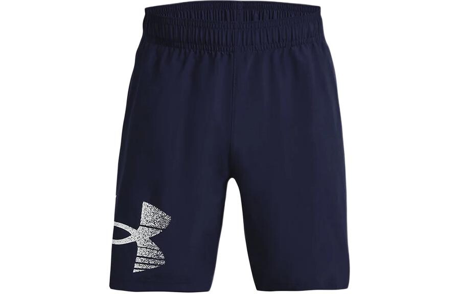 Повседневные шорты мужские темно-синие Under Armour, темно-синий