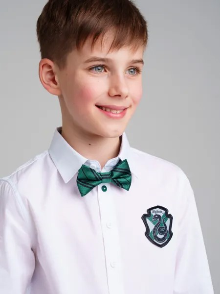 Галстук бабочка