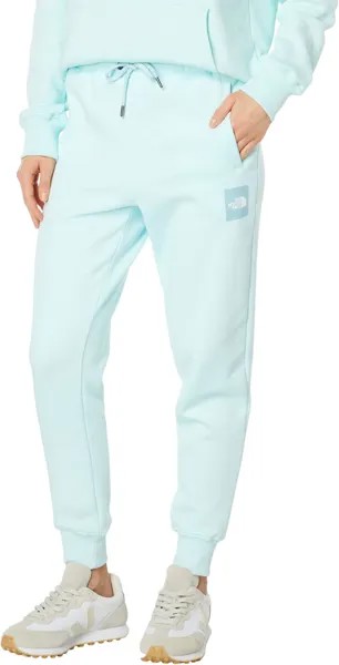 Джоггеры Box NSE NF0A7UP5 The North Face, цвет Skylight Blue/Skylight Blue