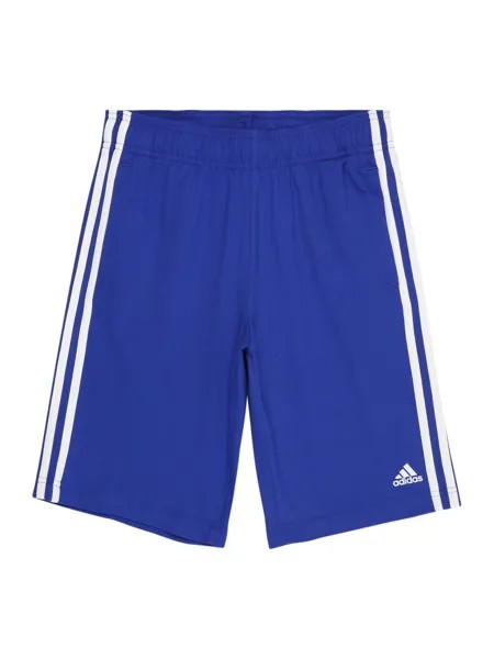 Обычные тренировочные брюки Adidas Essentials 3-Stripes, синий