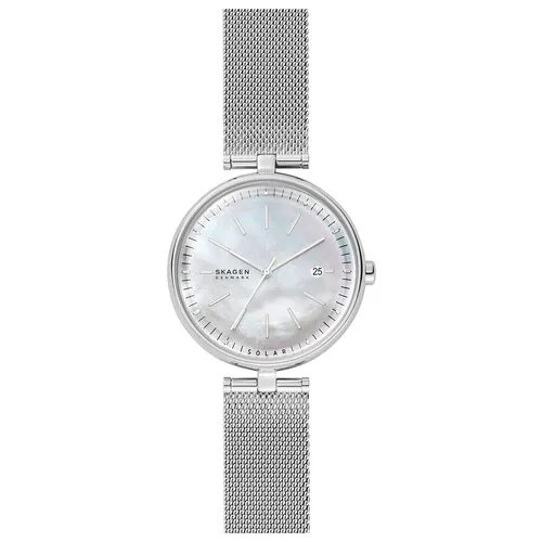 Наручные часы Skagen SKW2979