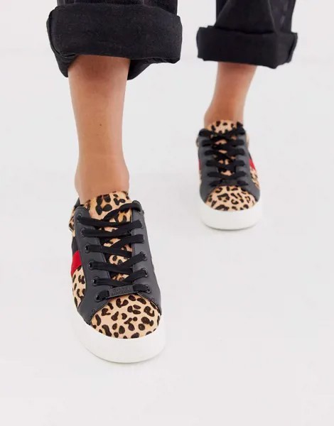 Кроссовки на плоской подошве с леопардовым принтом и контрастной полосой Steve Madden Belle-Мульти
