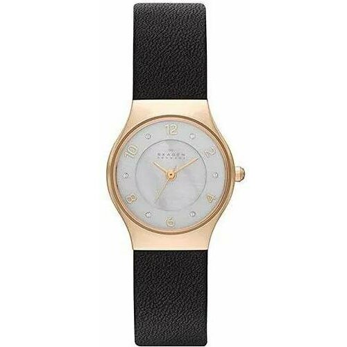 Наручные часы SKAGEN, черный, белый