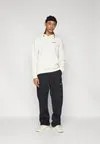 Толстовка SAL WINDOW GRAPHIC HOODIE UNISEX Salomon, бежевый