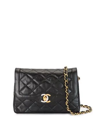 Chanel Pre-Owned стеганая сумка на плечо Paris 1990-х годов