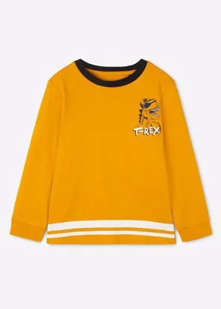 Жёлтый лонгслив oversize с принтом T-Rex для мальчика Gloria Jeans